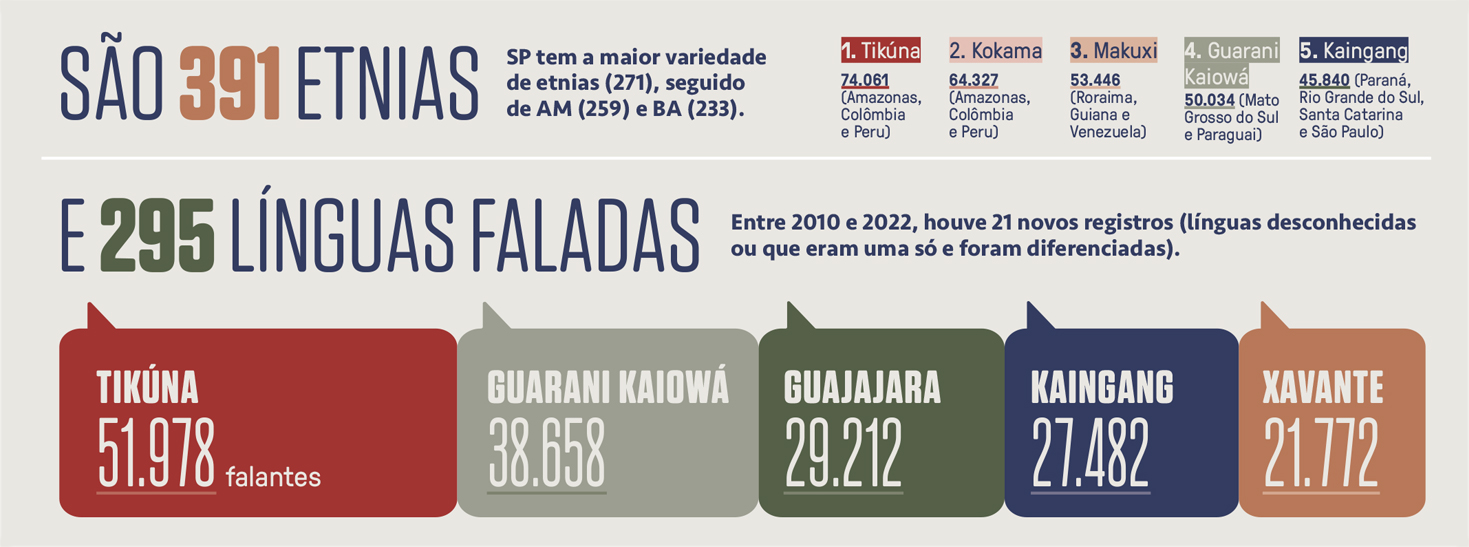 Gr&aacute;fico, em fundo cinza neutro, com dados sobre as etnias e l&iacute;nguas faladas pelas popula&ccedil;&atilde;o ind&iacute;gena do Brasil.
