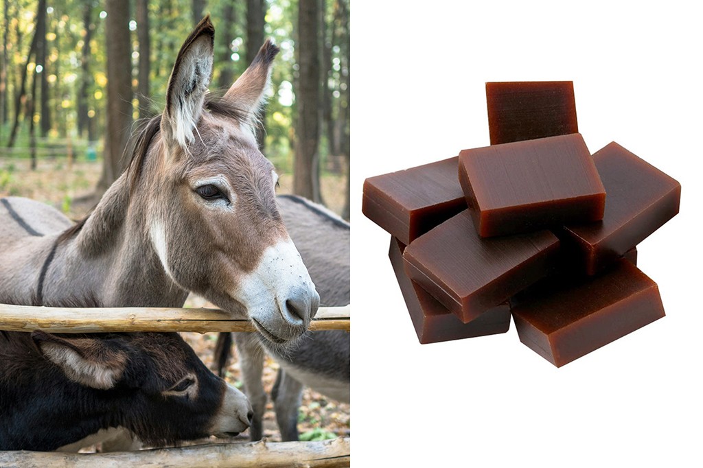 À esquerda, dois jumentos em um cercado de madeira, um cinza e outro preto, com árvores ao fundo. À direita, um monte de blocos retangulares de gelatina escura, que são os cosméticos produzidos na china.