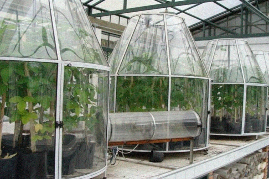 Estufas de vidro em formato de sino abrigam plantas verdes em vasos pretos, com um t&uacute;nel transparente horizontal no centro, em um laborat&oacute;rio de pesquisa agr&iacute;cola, experimento com plantas de soja sob alto CO2 e alta temperatura.