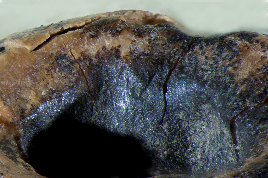 Textura rugosa de uma superf&iacute;cie com tons de marrom claro e preto, apresentando rachaduras e um buraco escuro na parte inferior esquerda