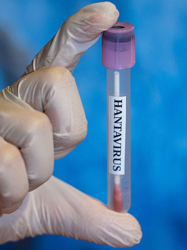 cropped-0805_hantavirus_layout_site.jpg