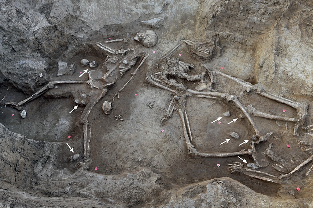 Dois esqueletos humanos em uma cova rasa, com ossos expostos e parcialmente cobertos por terra. O esqueleto &agrave; esquerda est&aacute; deitado de costas, com os bra&ccedil;os estendidos. O esqueleto &agrave; direita est&aacute; deitado de lado, com os bra&ccedil;os dobrados. Pequenas pedras e marcadores cor-de-rosa pontuam o solo ao redor dos esqueletos, e setas brancas indicam alguns detalhes. O ambiente &eacute; de escava&ccedil;&atilde;o arqueol&oacute;gica, com paredes de terra irregulares ao redor