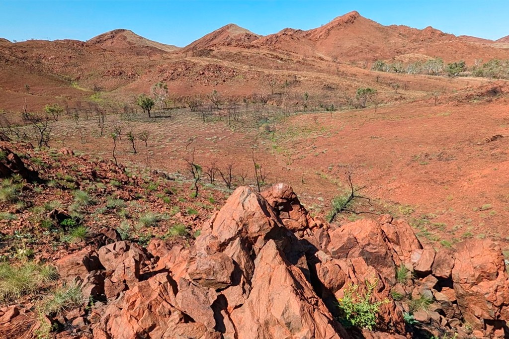 Paisagem árida com montanhas de terra vermelha sob céu azul claro. O primeiro plano mostra rochas avermelhadas e vegetação rasteira esparsa. Ao fundo, colinas e vales com poucas árvores secas e arbustos, destacando a cor vibrante do solo.