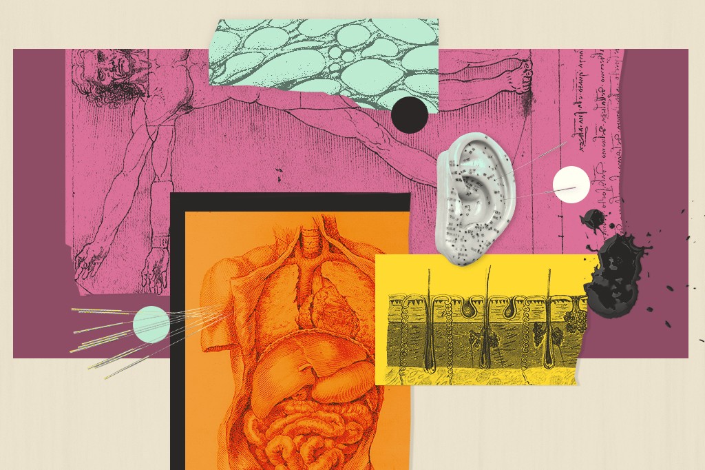 Colagem de ilustra&ccedil;&otilde;es m&eacute;dicas: um desenho de corpo humano em magenta, um diagrama de &oacute;rg&atilde;os internos em laranja, um modelo de orelha com pontos de acupuntura, e um corte transversal da pele com fol&iacute;culos capilares em amarelo. Elementos abstratos e manchas de tinta preta complementam a composi&ccedil;&atilde;o.