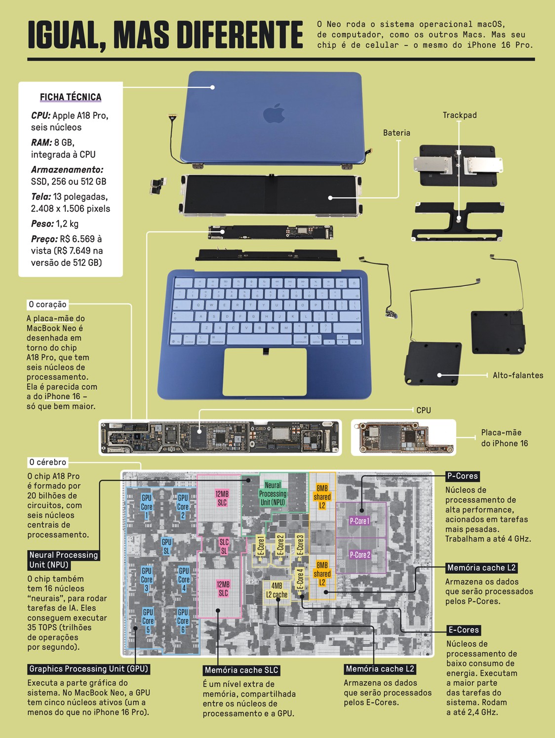 Infogr&aacute;fico detalhado do MacBook Neo desmontado, mostrando seus componentes internos como bateria, trackpad, alto-falantes, CPU e placa-m&atilde;e do iPhone 16. A ficha t&eacute;cnica apresenta CPU Apple A18 Pro, 8GB RAM, SSD de 256 ou 512GB, tela de 13 polegadas, peso de 1,2kg e pre&ccedil;o. O diagrama do chip A18 Pro destaca P-Cores, E-Cores, GPU, NPU e mem&oacute;rias cache SLC e L2, com descri&ccedil;&otilde;es de suas fun&ccedil;&otilde;es e especifica&ccedil;&otilde;es t&eacute;cnicas.