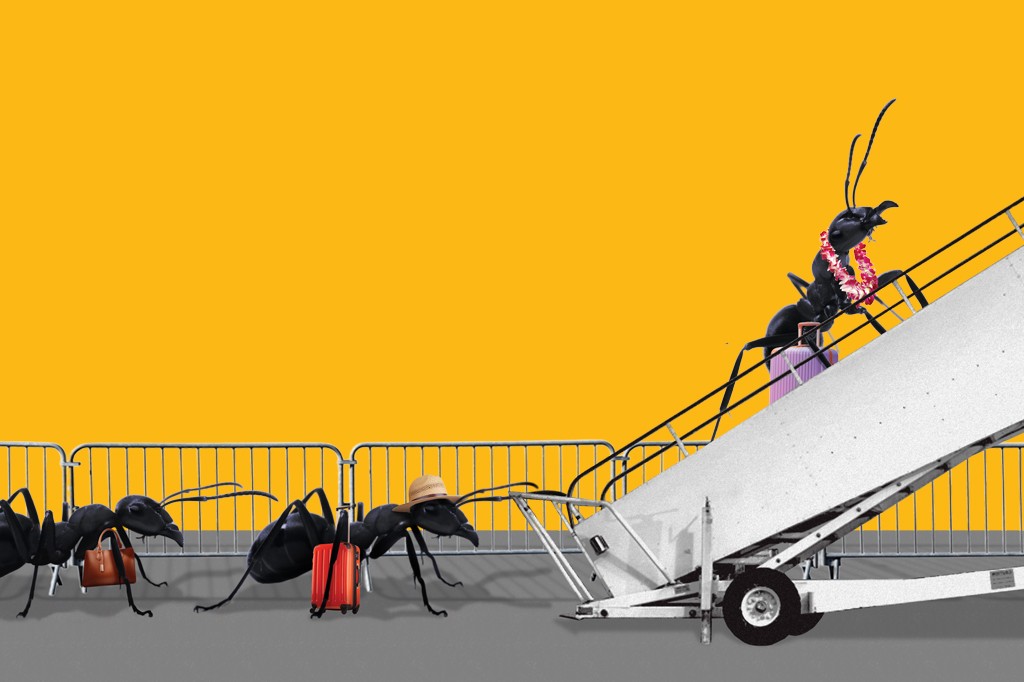 Formigas pretas em fila, carregando malas e bolsas, aguardam para subir uma escada de avião. A primeira formiga na escada usa um colar de flores e carrega uma mala roxa. O fundo é amarelo vibrante.