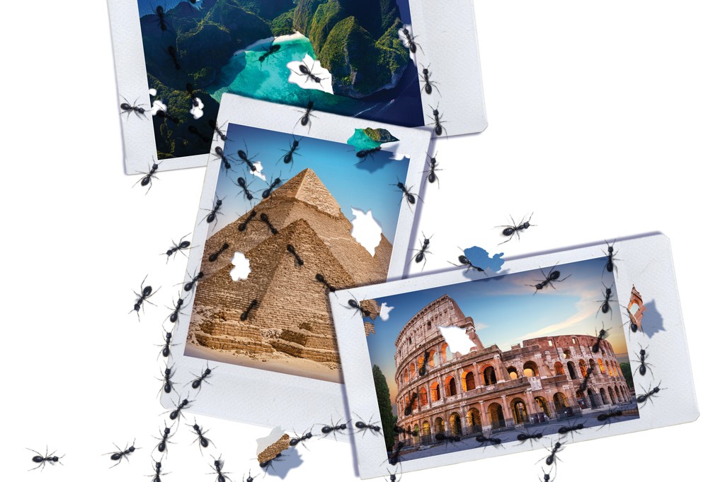 Formigas pretas rastejam sobre tr&ecirc;s fotos de paisagens famosas: uma ilha tropical com mar azul, as pir&acirc;mides do Egito e o Coliseu em Roma. As formigas roem buracos nas imagens, carregando peda&ccedil;os de papel branco.