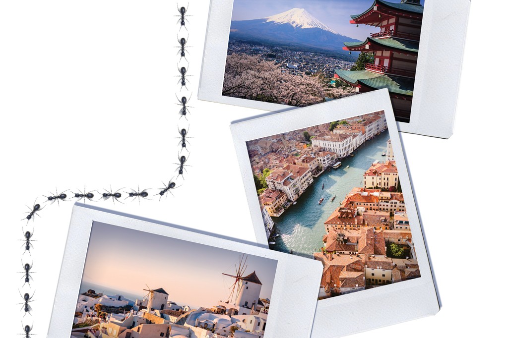 Formigas pretas em fila indiana conectam tr&ecirc;s fotos de viagem: Monte Fuji com cerejeiras, Veneza com canal e g&ocirc;ndolas, e Santorini com moinhos de vento brancos.