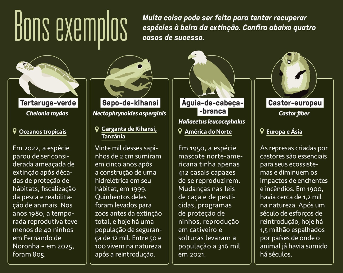Infogr&aacute;fico, em fundo verde escuro, de bons exemplos sobre recupera&ccedil;&atilde;o de esp&eacute;cies amea&ccedil;adas. Quatro pain&eacute;is com ilustra&ccedil;&otilde;es e textos: tartaruga-verde (Oceanos tropicais), sapo-de-kihansi (Garganta de Kihansi, Tanz&acirc;nia), &aacute;guia-de-cabe&ccedil;a-branca (Am&eacute;rica do Norte) e castor-europeu (Europa e &Aacute;sia), detalhando seus casos de sucesso na conserva&ccedil;&atilde;o.