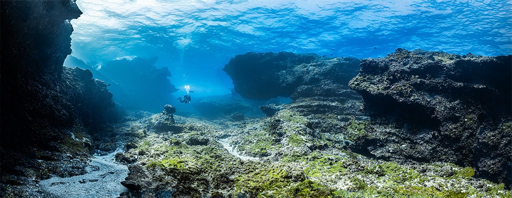 Um mergulhador solit&aacute;rio com equipamento completo explora um leito marinho rochoso e coberto por algas verdes, com a superf&iacute;cie da &aacute;gua azul-clara vis&iacute;vel acima