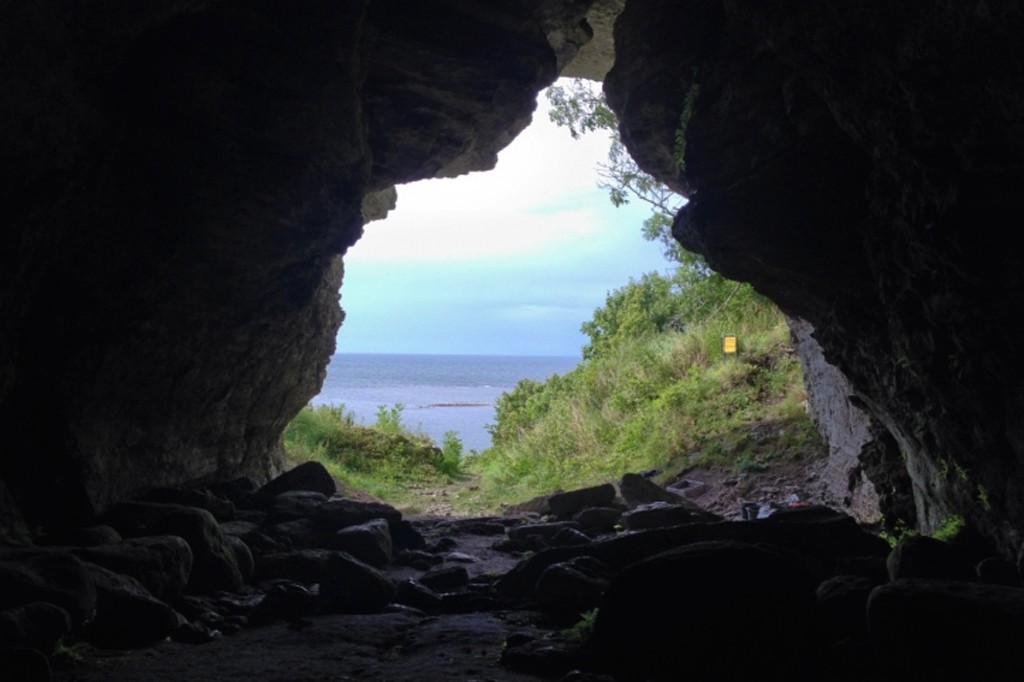 Por que humanos levaram dois lobos selvagens para essa ilha remota há 5 mil anos?