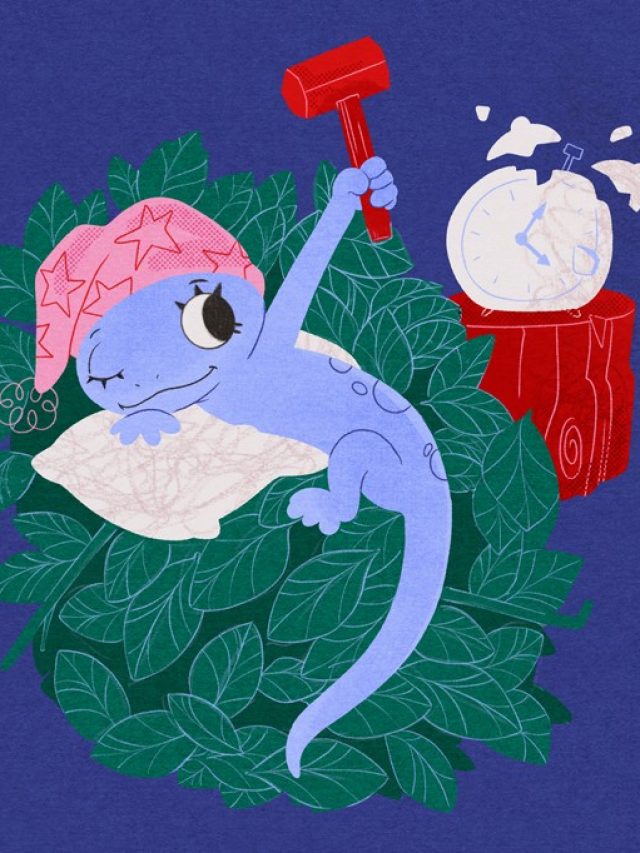 cropped-SI_489_Oraculo_Hibernacao.jpg