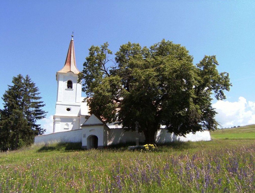 Igreja branca com telhado laranja pontudo e uma cruz no topo, cercada por um muro baixo e &aacute;rvores frondosas, em um campo verde com flores roxas e amarelas sob c&eacute;u azul claro