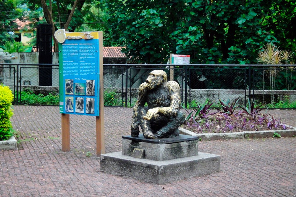 Est&aacute;tua de um macaco em um pedestal de concreto. Ao lado, uma placa informativa azul com texto e fotos de macacos. O cen&aacute;rio &eacute; um parque com &aacute;rvores, arbustos e um piso de tijolos, cercado por grades pretas