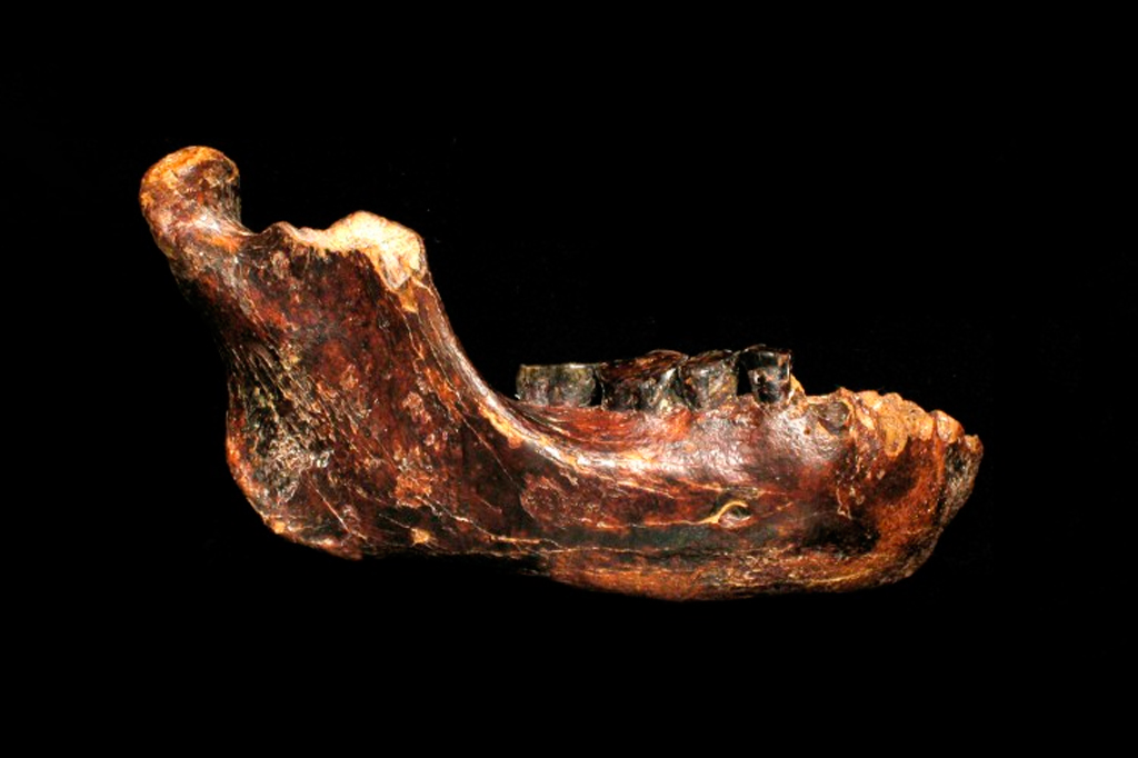 Novos fósseis revelam como viviam os denisovanos, primos extintos dos sapiens