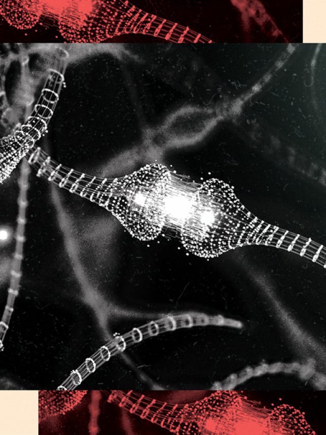 Capa de: Memórias sobrevivem mesmo com perda de sinapses, mostra estudo