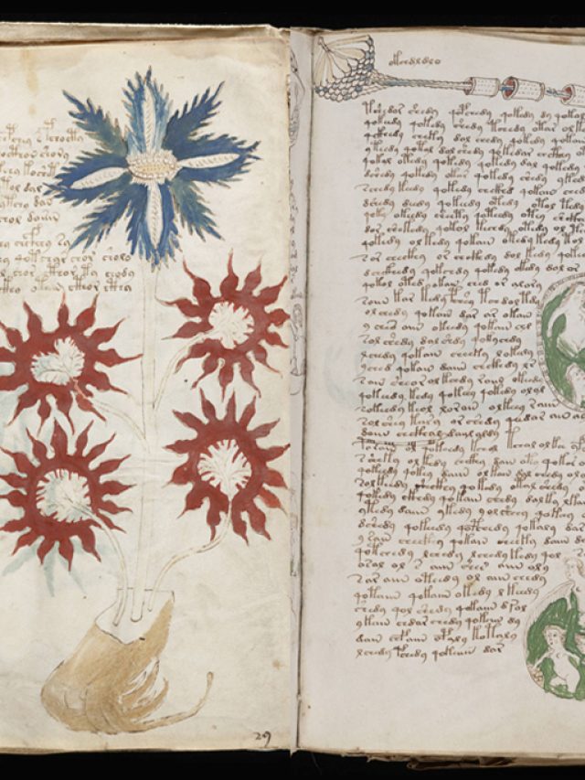 Capa de: Manuscrito Voynich, o livro medieval que não conseguimos decifrar