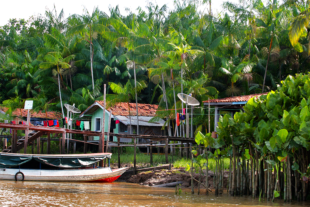 Medir pobreza rural amazônica com régua urbana infla índice em 17%