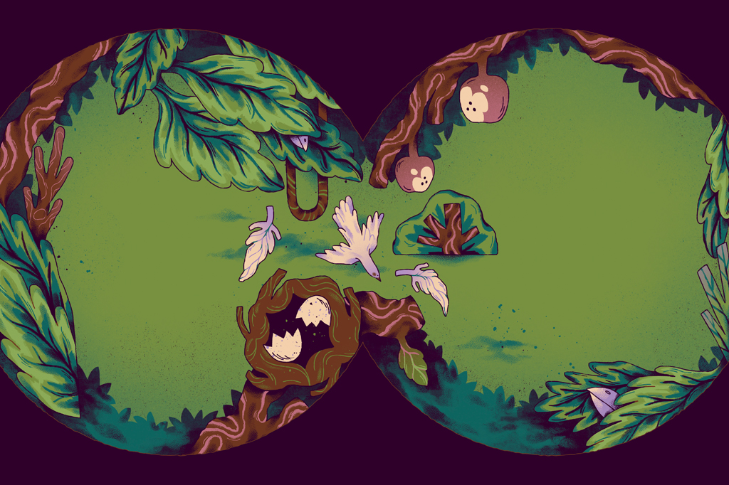 Ilustração de um cenário natural visto através de um binóculo, com um ninho de pássaro com ovos quebrados, um pássaro branco voando e folhas caindo, cercado por árvores e arbustos verdes