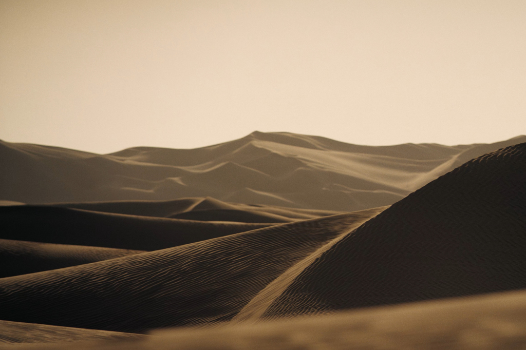 Dunas de areia em tons de sépia, com cristas e vales que se estendem até o horizonte sob um céu claro e pálido.