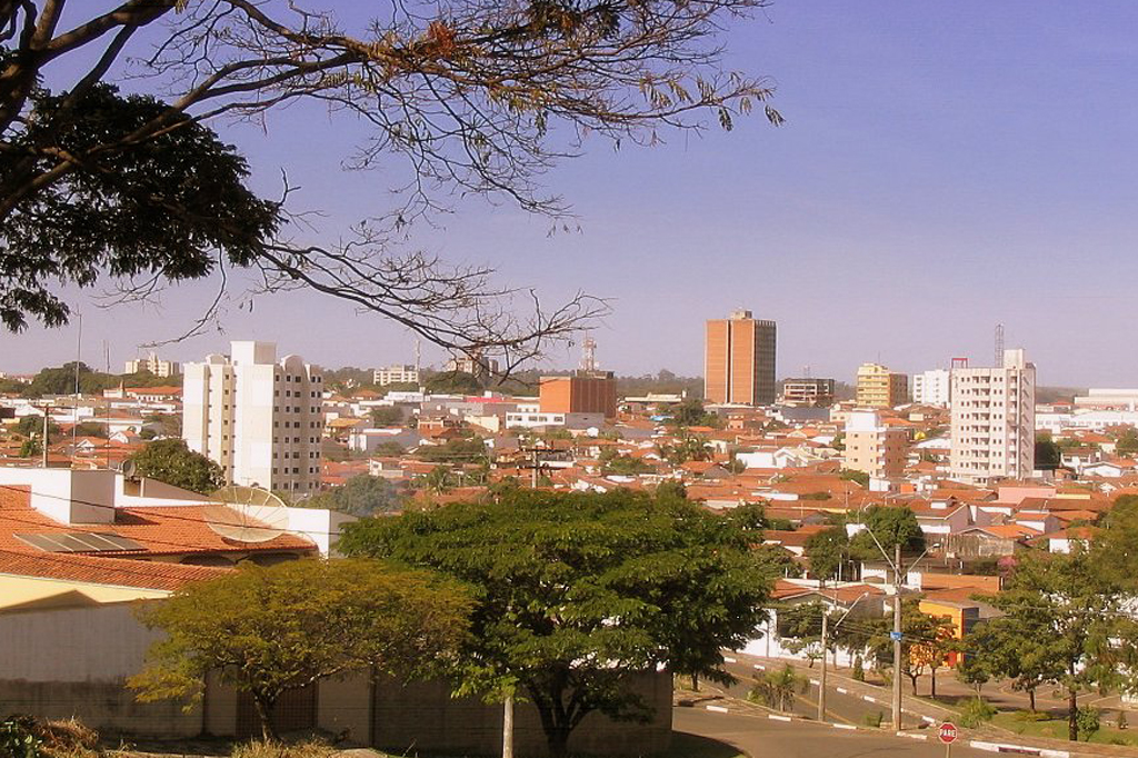 Vista panorâmica da cidade de Araras, em São Paulo, Brasil, sob céu azul, com telhados de cerâmica alaranjados e edifícios de diferentes alturas. Árvores frondosas em primeiro plano e galhos secos no topo emolduram a paisagem urbana. Uma rua sinuosa com sinalização de PARE é visível à direita.