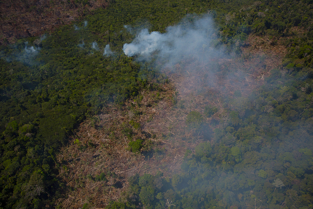 Vista aérea de uma floresta tropical com áreas desmatadas e fumaça de queimadas. À esquerda, vegetação densa e verde; à direita, solo marrom com troncos e galhos caídos. Fumaça cinza-clara sobe de vários pontos, indicando focos de incêndio.