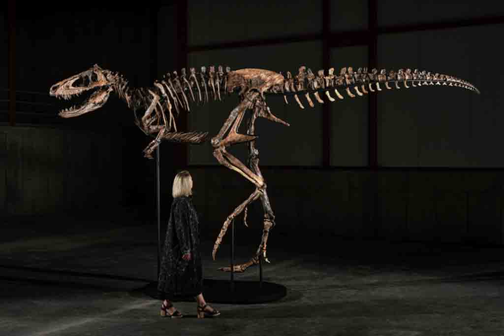 US$ 47,3 milhões: esqueleto raro de Nanotyrannus é vendido em leilão